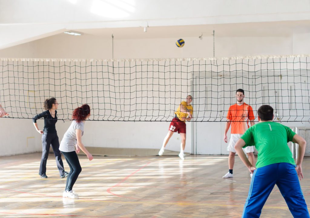 Adult Volleyball Vetta Sports